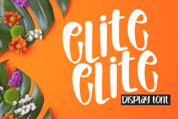 Elite Font: A Timeless Display Typeface for Logos and Branding