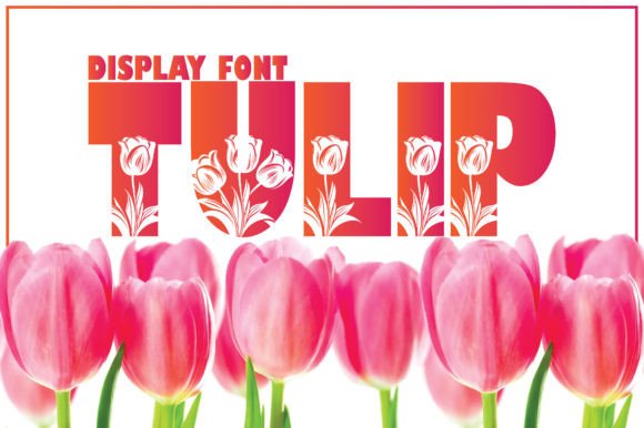 Tulip Font: A Thick-Lettered Display Typeface for Makers